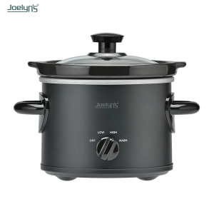 Joelyn's slow cooker JL6611EUC